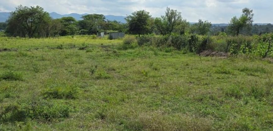 Land for Sale in Maitama, Abuja